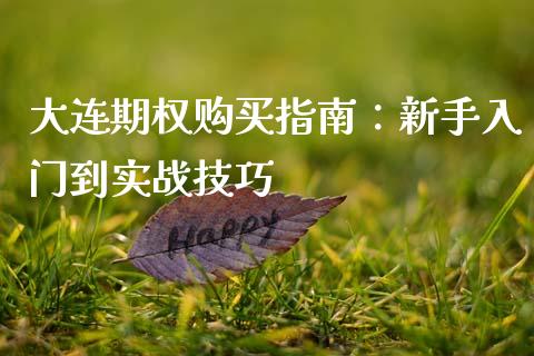 大连期权购买指南：新手入门到实战技巧_https://www.fansifence.com_国际期货_第1张