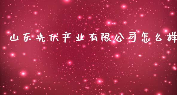 山东光伏产业有限公司怎么样_https://www.fansifence.com_中国国际期货_第1张