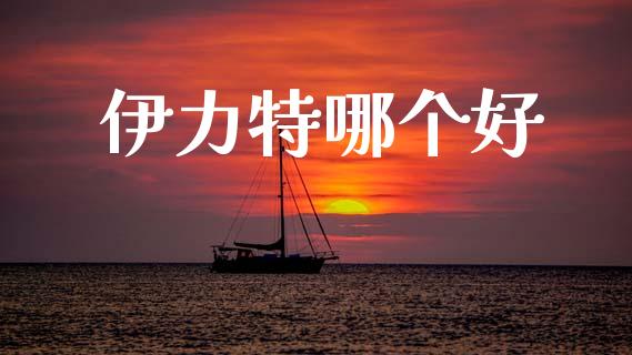 伊力特哪个好_https://www.fansifence.com_国际期货_第1张