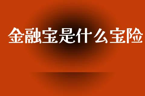 金融宝是什么宝险_https://www.fansifence.com_国际期货行情_第1张