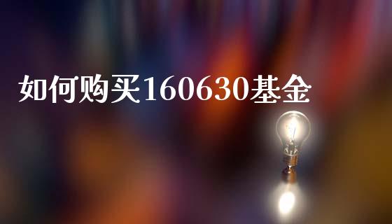 如何购买160630基金_https://www.fansifence.com_恒指交易时间_第1张