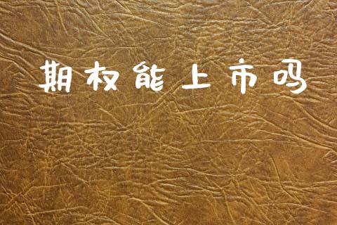 期权能上市吗_https://www.fansifence.com_国际期货_第1张
