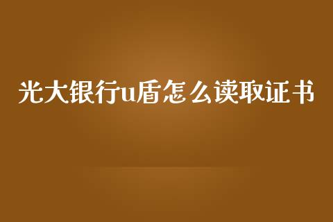 光大银行u盾怎么读取证书_https://www.fansifence.com_恒指交易时间_第1张
