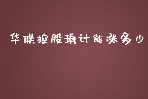 华联控股预计能涨多少_https://www.fansifence.com_国际期货行情_第1张