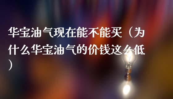 华宝油气现在能不能买（为什么华宝油气的价钱这么低）_https://www.fansifence.com_国际期货行情_第1张