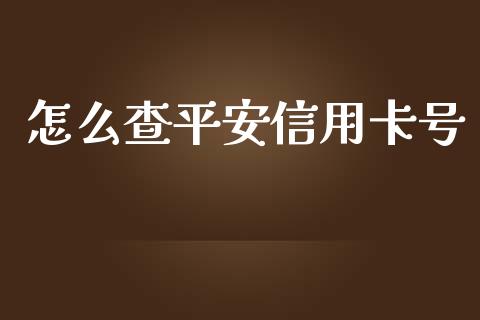 怎么查平安信用卡号_https://www.fansifence.com_恒指交易时间_第1张