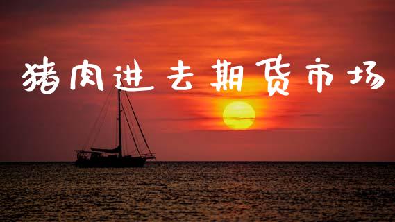 猪肉进去期货市场_https://www.fansifence.com_恒指交易时间_第1张