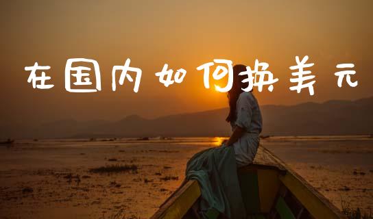在国内如何换美元_https://www.fansifence.com_中国国际期货_第1张