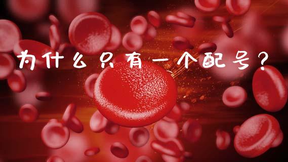 为什么只有一个配号？_https://www.fansifence.com_中国国际期货_第1张