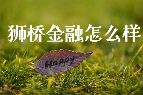 狮桥金融怎么样_https://www.fansifence.com_国际期货行情_第1张