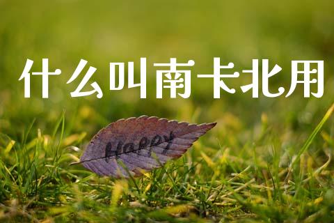 什么叫南卡北用_https://www.fansifence.com_国际期货行情_第1张