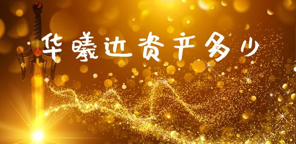 华曦达资产多少_https://www.fansifence.com_国际期货行情_第1张
