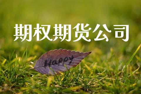 期权期货公司_https://www.fansifence.com_中国国际期货_第1张