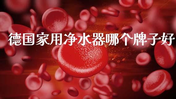 德国家用净水器哪个牌子好_https://www.fansifence.com_恒指交易时间_第1张