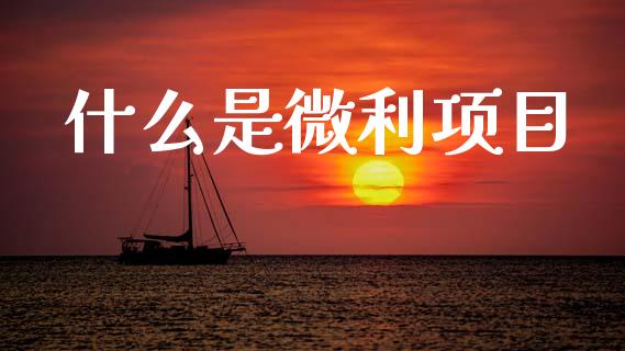 什么是微利项目_https://www.fansifence.com_恒指交易时间_第1张