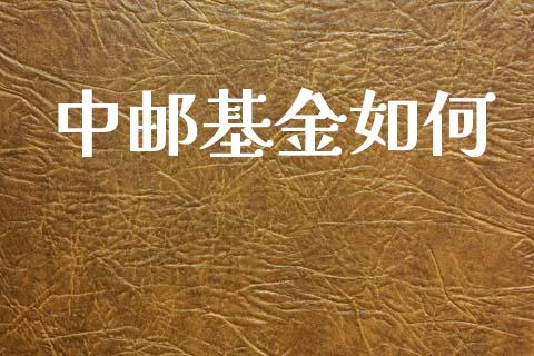 中邮基金如何_https://www.fansifence.com_国际期货行情_第1张