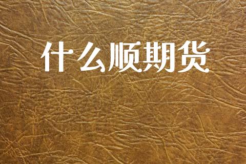 什么顺期货_https://www.fansifence.com_国际期货_第1张