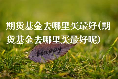 期货基金去哪里买最好(期货基金去哪里买最好呢)_https://www.fansifence.com_恒指交易时间_第1张