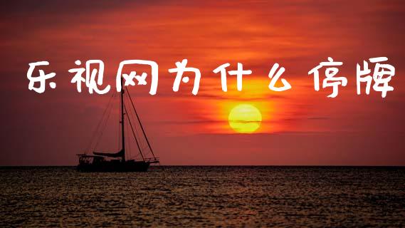 乐视网为什么停牌_https://www.fansifence.com_恒指交易时间_第1张