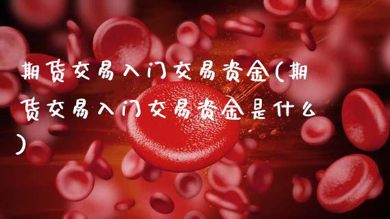 期货交易入门交易资金(期货交易入门交易资金是什么)_https://www.fansifence.com_国际期货_第1张