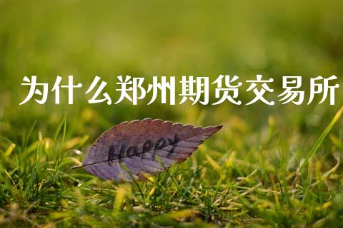 为什么郑州期货交易所_https://www.fansifence.com_恒指交易时间_第1张