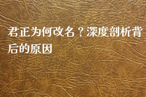 君正为何改名？深度剖析背后的原因_https://www.fansifence.com_恒指交易时间_第1张