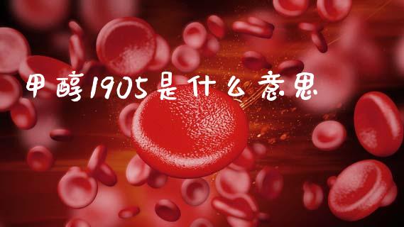 甲醇1905是什么意思_中国国际期货_第1张_国际期货_中国国际期货_恒指交易时间_国际期货行情 甲醇1905是什么意思_https://www.fansifence.com_中国国际期货_第1张