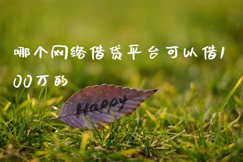 哪个网络借贷平台可以借100万的_https://www.fansifence.com_国际期货行情_第1张