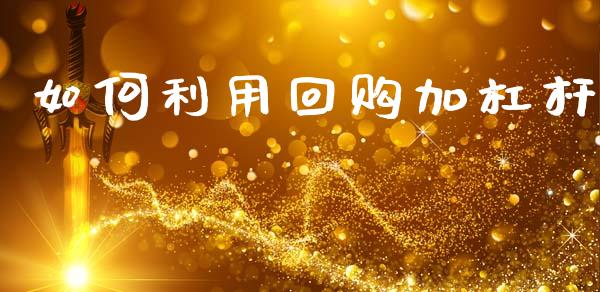 如何利用回购加杠杆_https://www.fansifence.com_国际期货行情_第1张