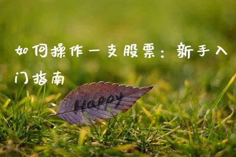 如何操作一支股票：新手入门指南_https://www.fansifence.com_国际期货_第1张
