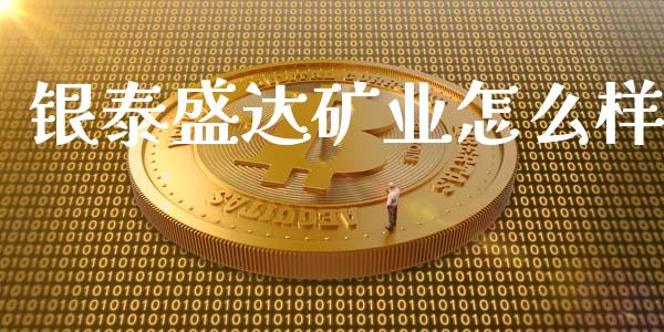 银泰盛达矿业怎么样_https://www.fansifence.com_恒指交易时间_第1张
