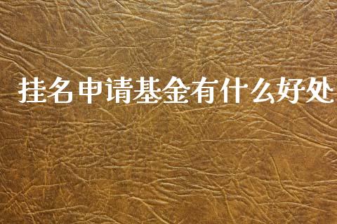 挂名申请基金有什么好处_https://www.fansifence.com_国际期货行情_第1张