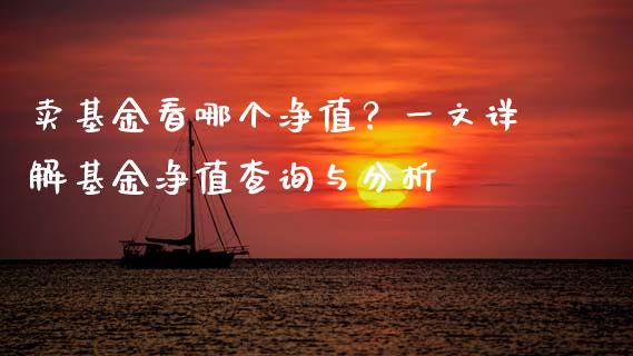 卖基金看哪个净值？一文详解基金净值查询与分析_https://www.fansifence.com_国际期货_第1张