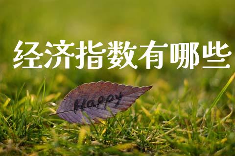 经济指数有哪些_https://www.fansifence.com_中国国际期货_第1张
