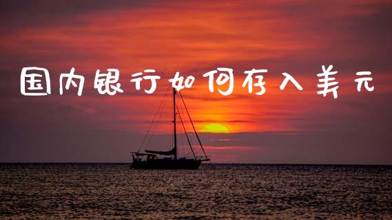 国内银行如何存入美元_https://www.fansifence.com_国际期货行情_第1张