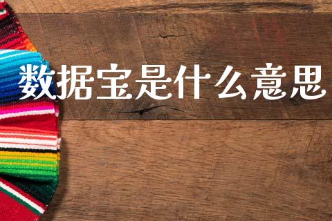 数据宝是什么意思_https://www.fansifence.com_恒指交易时间_第1张
