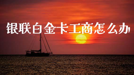 银联白金卡工商怎么办_https://www.fansifence.com_中国国际期货_第1张