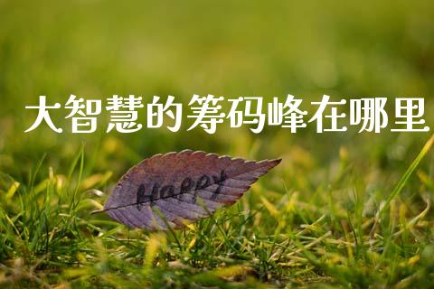 大智慧的筹码峰在哪里_https://www.fansifence.com_恒指交易时间_第1张