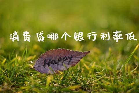 消费贷哪个银行利率低_https://www.fansifence.com_恒指交易时间_第1张