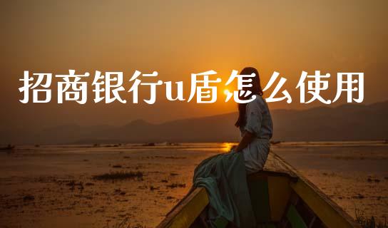 招商银行u盾怎么使用_https://www.fansifence.com_国际期货_第1张