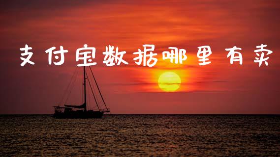 支付宝数据哪里有卖_https://www.fansifence.com_中国国际期货_第1张