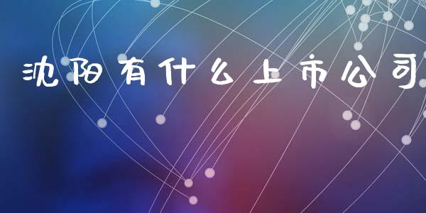 沈阳有什么上市公司_https://www.fansifence.com_中国国际期货_第1张