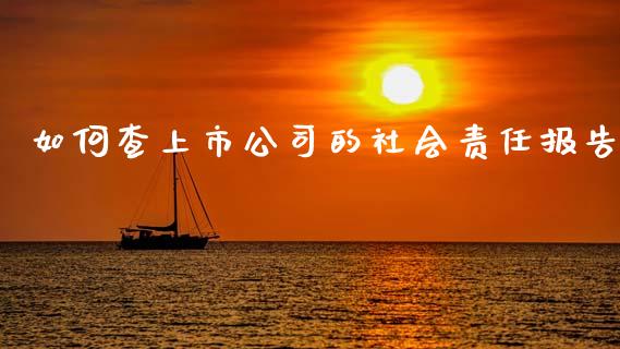 如何查上市公司的社会责任报告_https://www.fansifence.com_国际期货_第1张