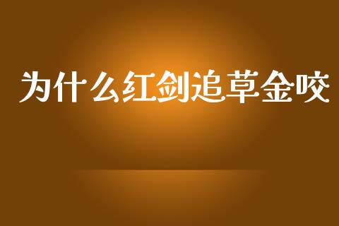 为什么红剑追草金咬_https://www.fansifence.com_中国国际期货_第1张