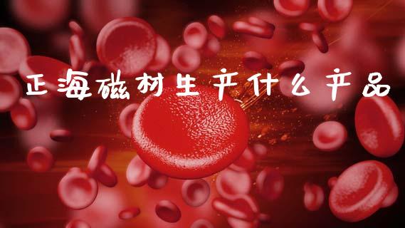 正海磁材生产什么产品_https://www.fansifence.com_中国国际期货_第1张