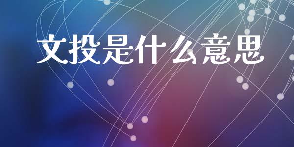 文投是什么意思_https://www.fansifence.com_国际期货行情_第1张