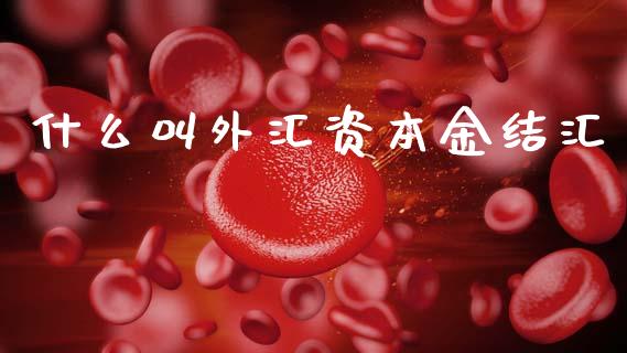 什么叫外汇资本金结汇_https://www.fansifence.com_国际期货行情_第1张