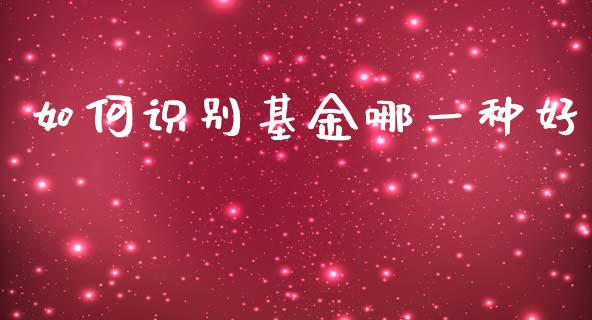 如何识别基金哪一种好_https://www.fansifence.com_恒指交易时间_第1张