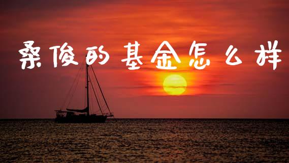 桑俊的基金怎么样_https://www.fansifence.com_中国国际期货_第1张