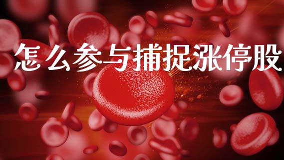 怎么参与捕捉涨停股_https://www.fansifence.com_恒指交易时间_第1张